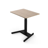 DHLT1-C3 Movable One-legged Lifting Table
